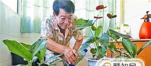 硫酸亞鐵澆花使用方法