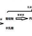 牛奶為什麼會發酵變成酸奶