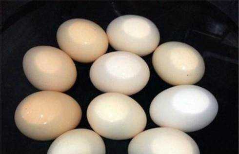如何用多功能養生壺自動煮雞蛋