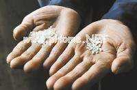 塑膠大米是真的嗎