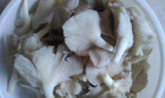 素炒秀珍菇的做法