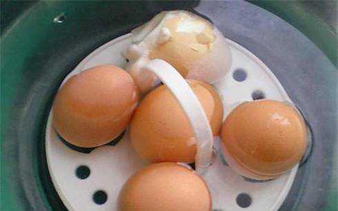 如何用多功能養生壺自動煮雞蛋