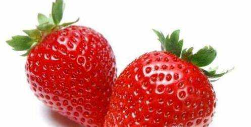 草莓適合什麼季節種植