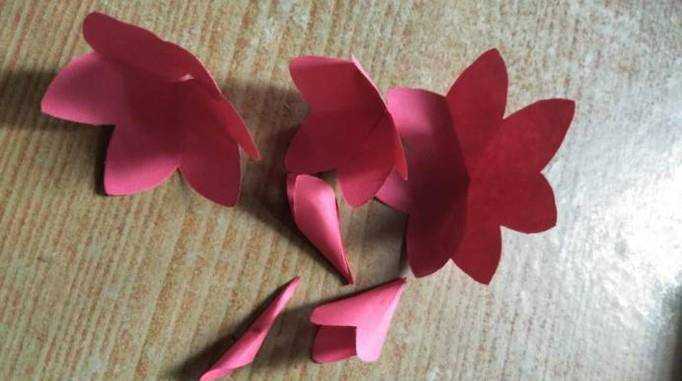 DIY摺紙如何折一朵睡蓮