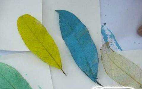 如何製作彩色透明樹葉