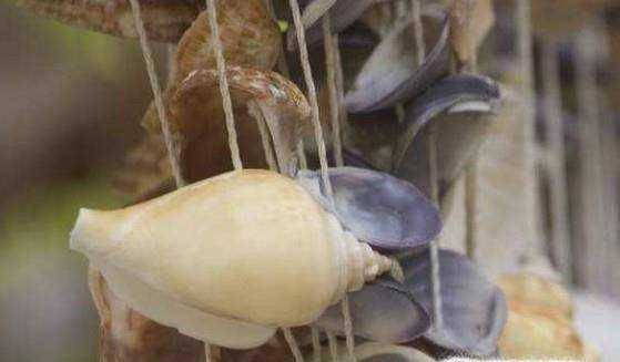 製作風鈴——海螺殼DIY