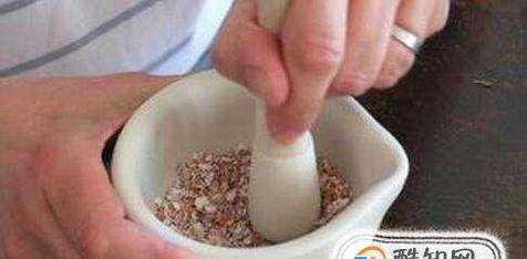家庭養花之怎麼用雞蛋殼製作花肥