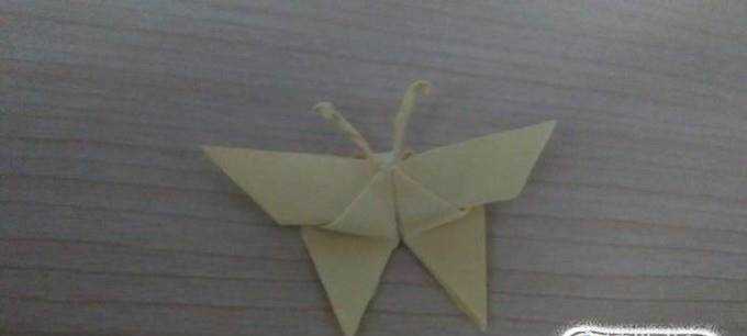 如何折立體的紙蝴蝶