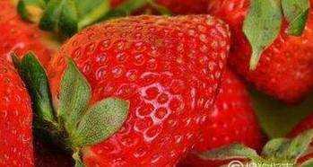家庭陽臺如何種草莓