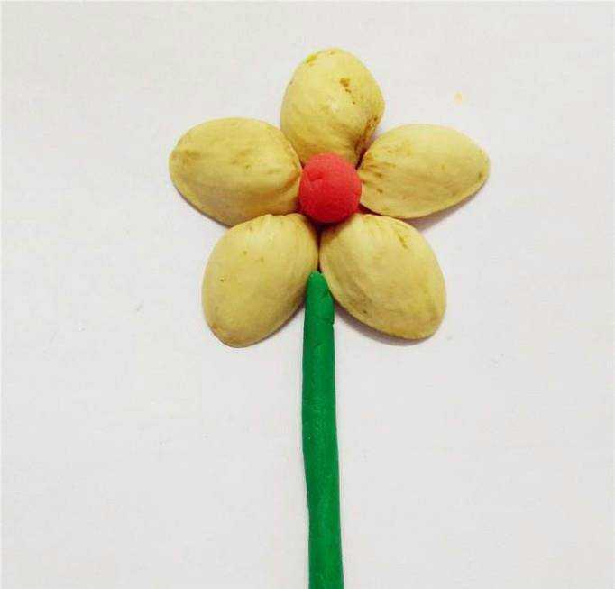 怎麼用開心果殼製作漂亮的花兒