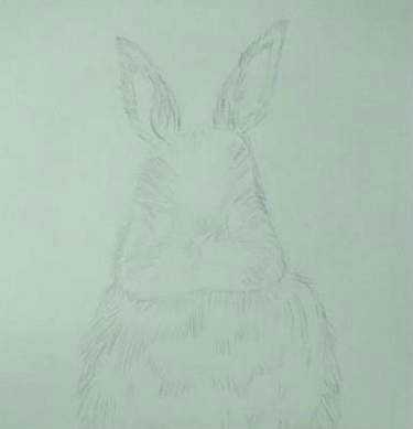 怎樣畫出一個可愛的小兔子