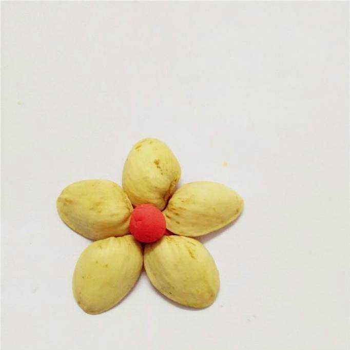 怎麼用開心果殼製作漂亮的花兒