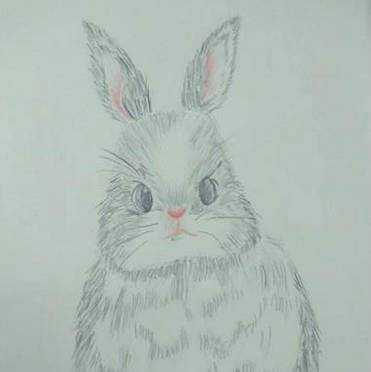怎樣畫出一個可愛的小兔子