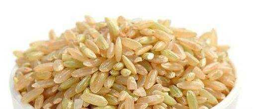 五穀雜糧減肥經驗