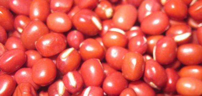 怎樣區分赤小豆與紅豆