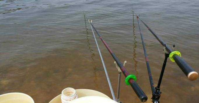 怎樣釣魚釣魚要準備什麼