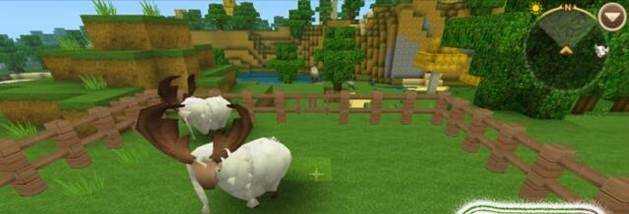迷你世界怎麼養羊