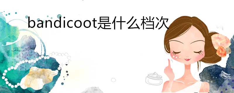 bandicoot是什麼檔次