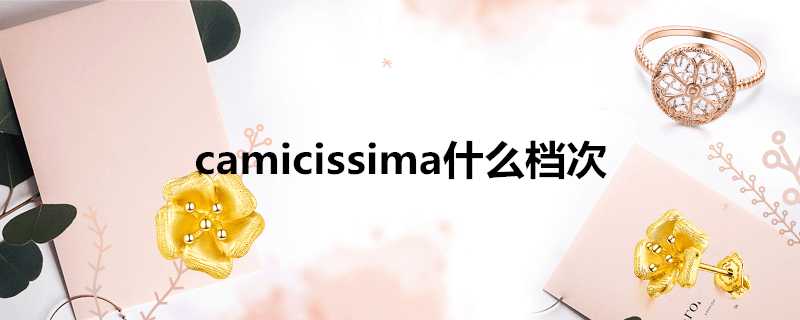 camicissima什麼檔次