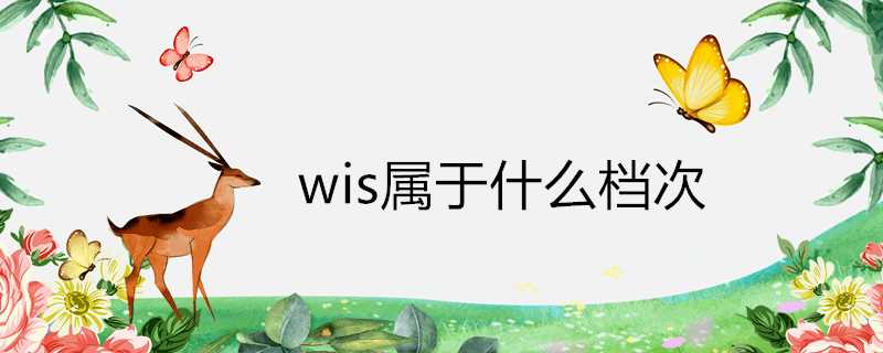 wis屬於什麼檔次