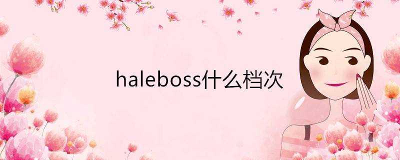 haleboss什麼檔次