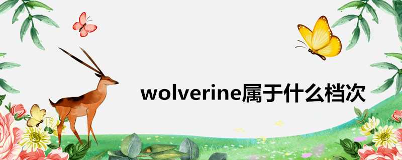 wolverine屬於什麼檔次