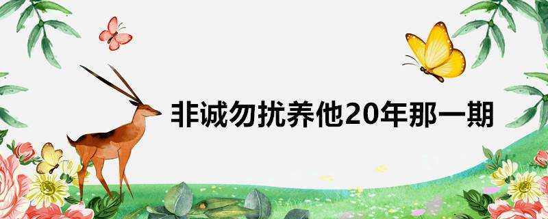 非誠勿擾養他20年那一期