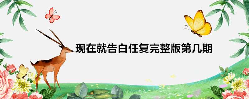 現在就告白任復完整版第幾期