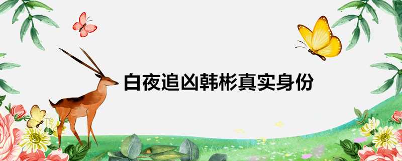 白夜追兇韓彬真實身份