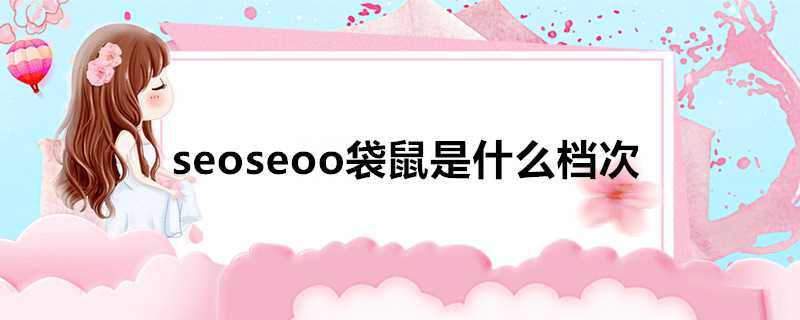 seoseoo袋鼠是什麼檔次