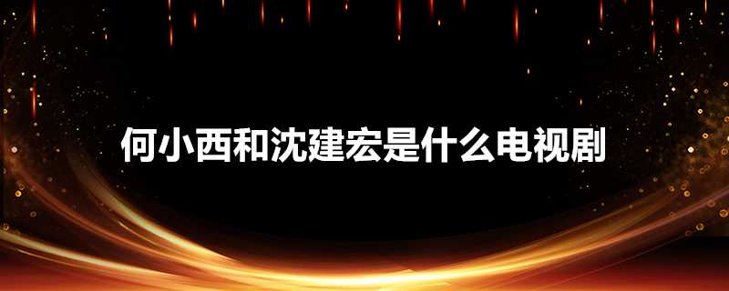 何小西和沈建宏是什麼電視劇