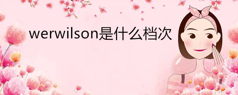 werwilson是什麼檔次