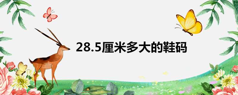 28.5釐米多大的鞋碼