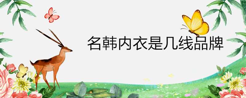 名韓內衣是幾線品牌