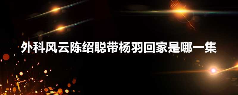 外科風雲陳紹聰帶楊羽回家是哪一集