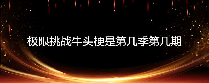 極限挑戰牛頭梗是第幾季第幾期