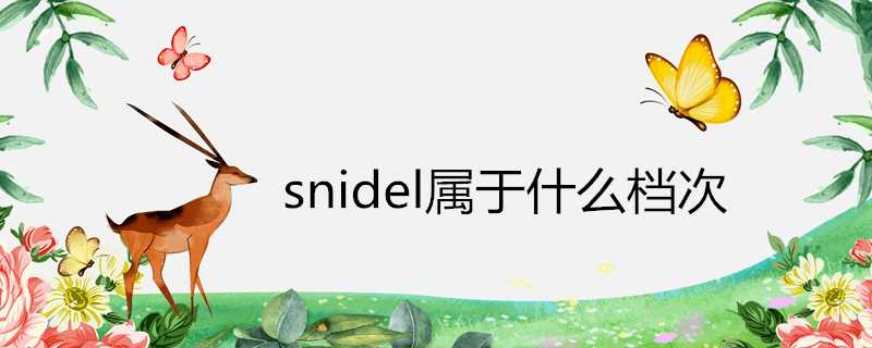 snidel屬於什麼檔次