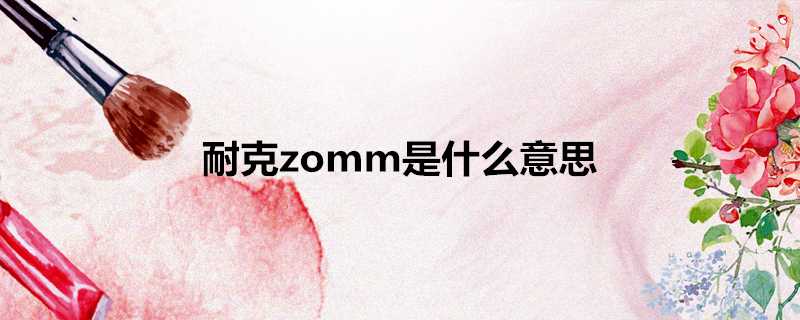 耐克zomm是什麼意思