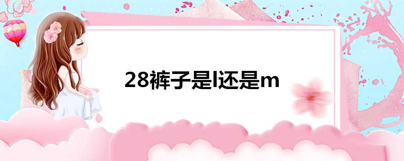 28褲子是l還是m