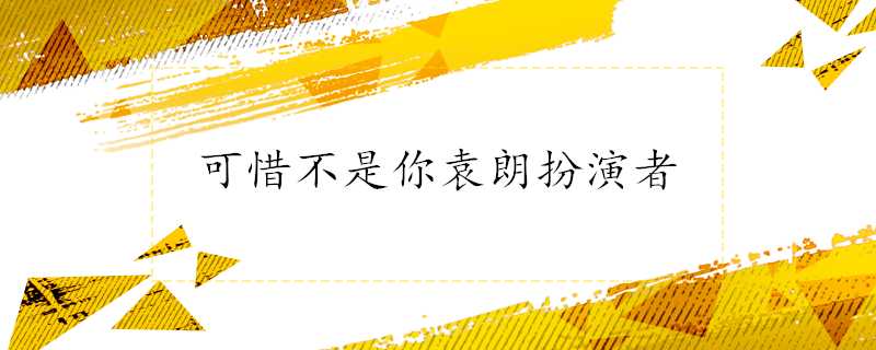 可惜不是你袁朗扮演者