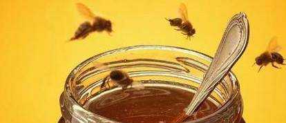 教你怎麼識別蜂蜜的真假辨別好蜂蜜的方法