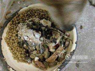 金毛犬餵食雞架的正確方法