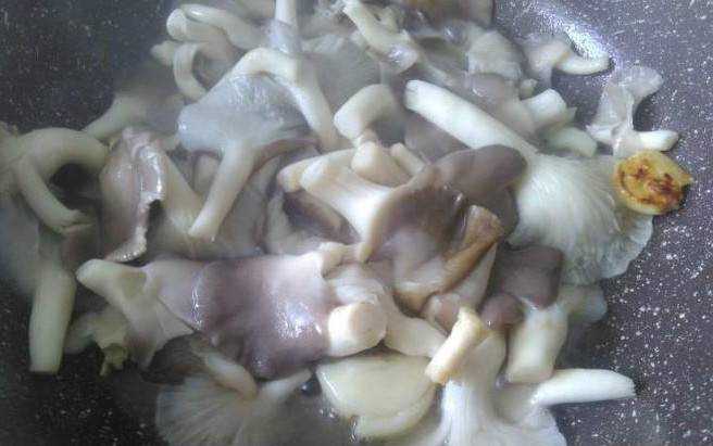 平菇豬肉的做法