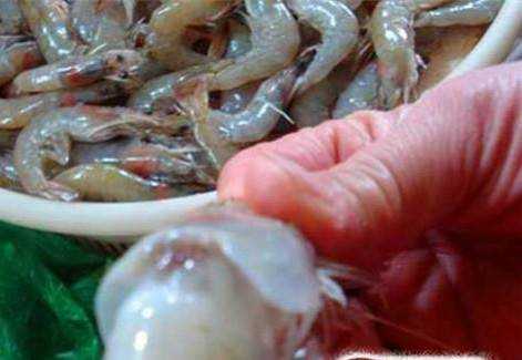 活蝦怎麼處理會比較乾淨