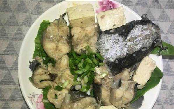 豆腐燉鯰魚的家常做法