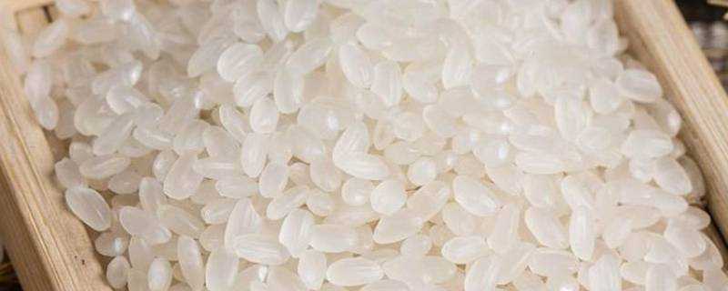 粥米是什麼米