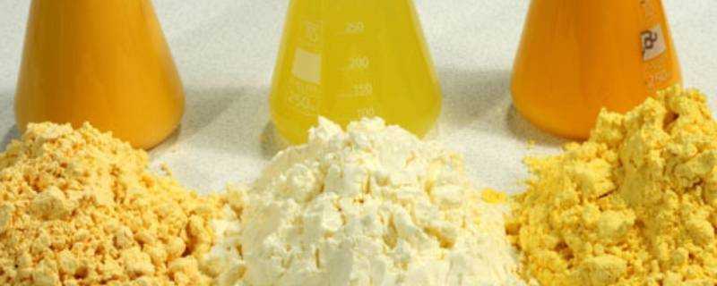 蛋黃粉是什麼東西