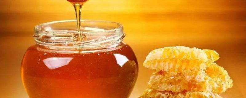 辨別蜂蜜真假的5個方法