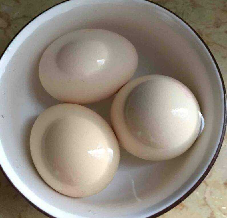 白水蛋煮多久