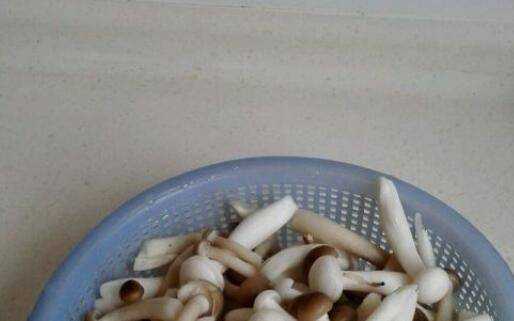 海鮮菇怎麼做湯